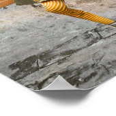 Poster Fashionistas (Coin)