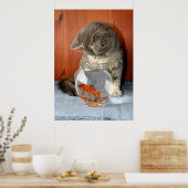 Poster 'Fast Food' (Cuisine)