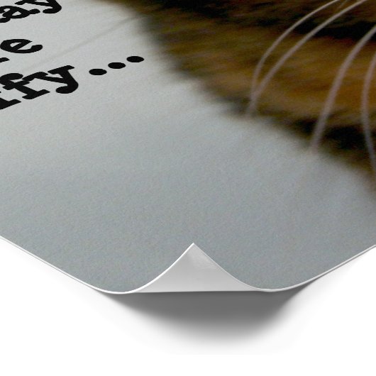 Poster Fat Cat with Attitude, "i don't do monday" (Coin)