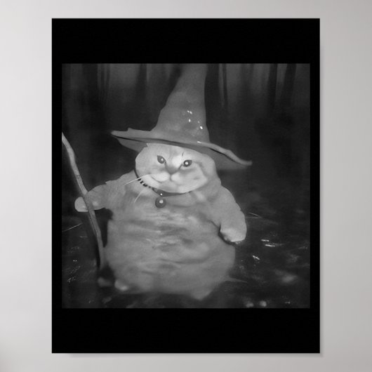 Poster Fat Wizard Cat Fat Kitten Wizard Funny Cat Meme Br (Devant)