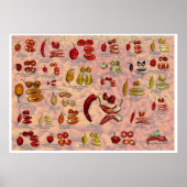 Poster Fatalii's Split Chile Peppers ! (Devant)