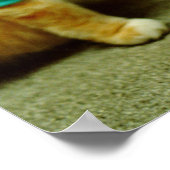 Poster Fatso, Clavier original Cat 1984 (Coin)