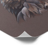 Poster Faucon (Coin)