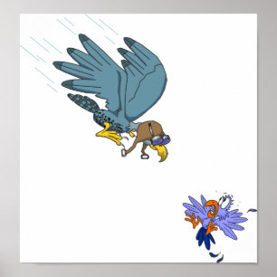 Poster Faucon aux lunettes