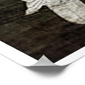 Poster Faucon blanc - 1644 (Coin)