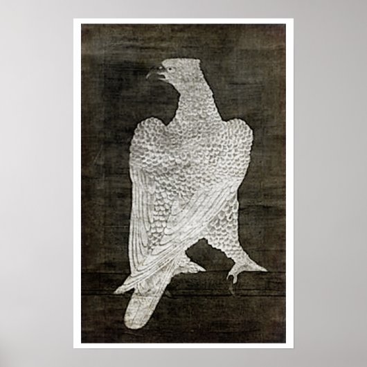 Poster Faucon blanc - 1644 (Devant)