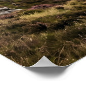 Poster Faucon Chardon Ciel des Highlands (Coin)