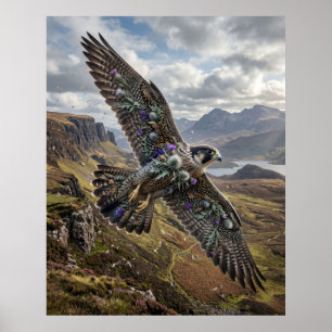Poster Faucon Chardon Ciel des Highlands
