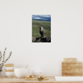 Poster faucon gerfaut, Falco rusticolus, juvénile (Cuisine)