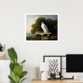 Poster Faucon groenlandais (Faucon gris), 1780 (huile sur (Bureau à domicile)