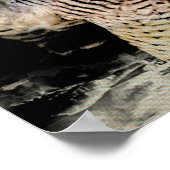 Poster Faucon pèlerin (Coin)