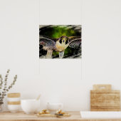 Poster Faucon pèlerin (Cuisine)