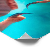 Poster Faucon pèlerin AILES DE MERCURE (Coin)