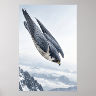 Poster Faucon Pèlerin Plongeant Au-Dessus Des Montagnes E