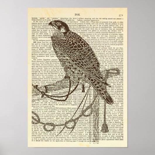 Poster Faucon Perché, Icône, Gravure, Art Falcon (Devant)