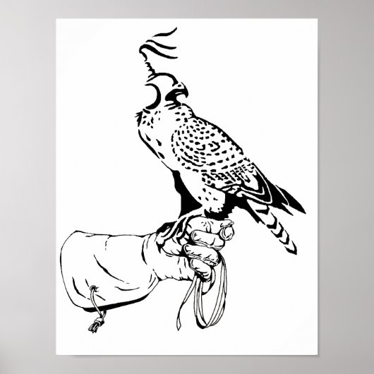 Poster Faucon sur gant (Devant)