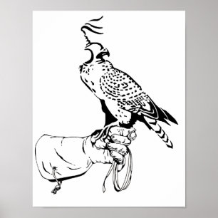 Poster Faucon sur le gant