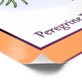 Poster Faucons pèlerins (Coin)