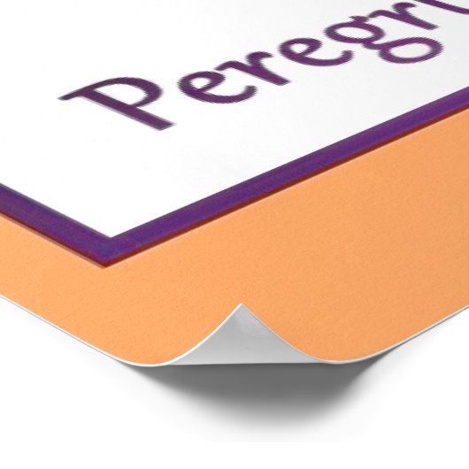 Poster Faucons pèlerins (Coin)