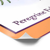 Poster Faucons pèlerins (Coin)