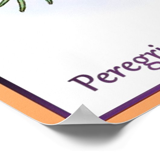 Poster Faucons pèlerins (Coin)