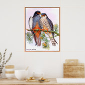 Poster Faucons pèlerins (Cuisine)