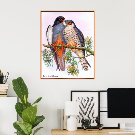 Poster Faucons pèlerins (Bureau à domicile)