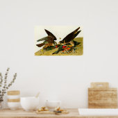Poster Faucons pèlerins John James Audubon 1838 (Cuisine)