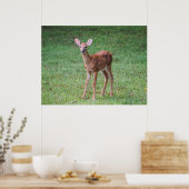 Poster Faune (Cuisine)