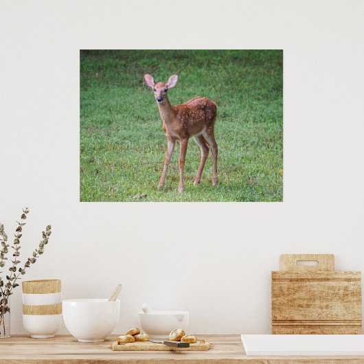 Poster Faune (Cuisine)