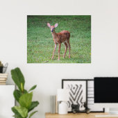 Poster Faune (Bureau à domicile)