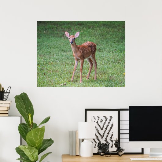 Poster Faune (Bureau à domicile)