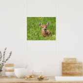 Poster Faune (Cuisine)