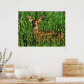 Poster Faune 11 bumped (Cuisine)