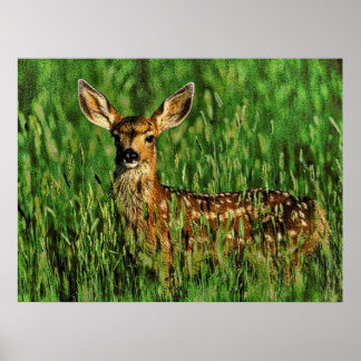 Poster Faune 11 bumped