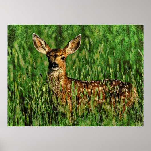 Poster Faune 11 bumped (Devant)