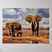 Poster Faune 2 (Devant)