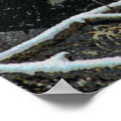 Poster Faune 8 cmyk (Coin)