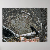 Poster Faune 8 cmyk (Devant)