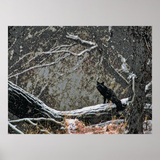 Poster Faune 8 cmyk (Devant)