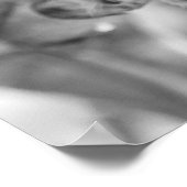 Poster Faune de singe d'écureuil noir et blanc (Coin)