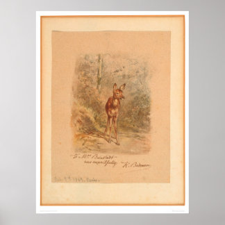 Poster Faune en forêt (0567A)