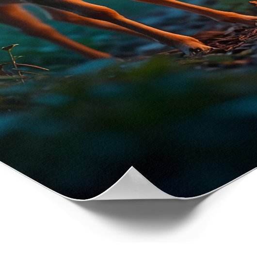 Poster Faune et papillon dans la forêt enchantée (Coin)