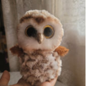 Poster Faune mignonne d'un hibou : Forêt d'automne