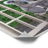 POSTER FAUSSE FENÊTRE POUR BÉBÉS KOALAS (Coin)