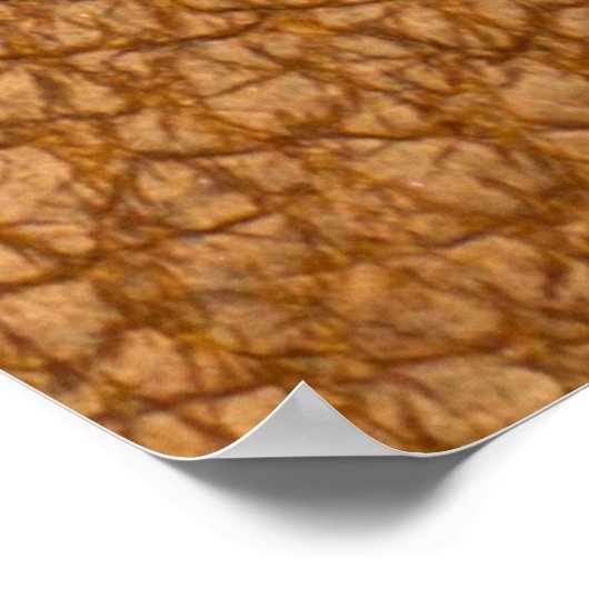 Poster faux look en cuir (Coin)