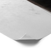 Poster faux ours (Coin)