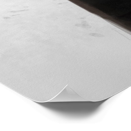 Poster faux ours (Coin)