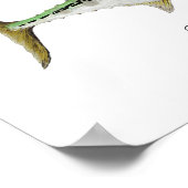 Poster Faux thon d'albacore (Coin)