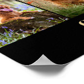 Poster Favori Hello Hardest Goodbye Pet Memorial (Coin)